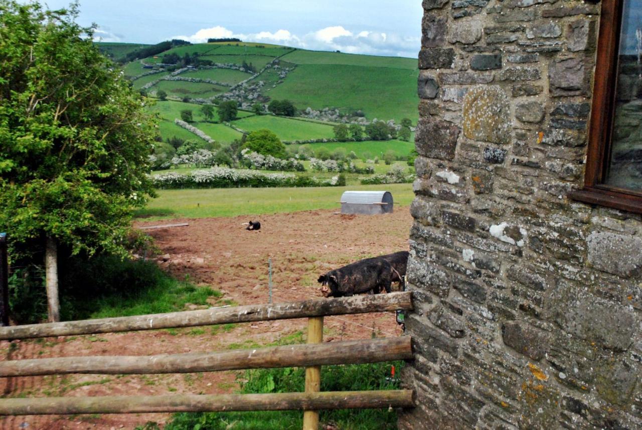 Eco Cottage Joe The Buck Craven Arms Buitenkant foto