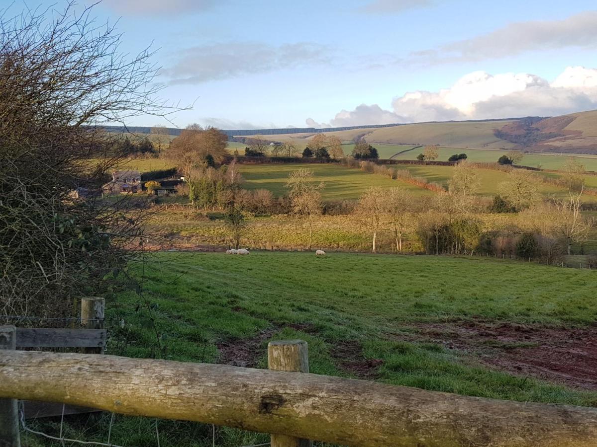 Eco Cottage Joe The Buck Craven Arms Buitenkant foto